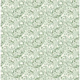 Adrian Green Paisley Wallpaper  | Brewster Wallcovering