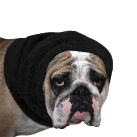 English Bulldog Hood