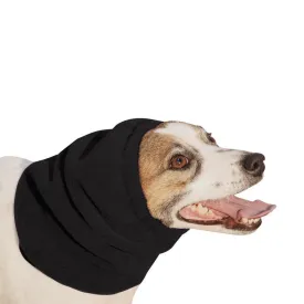 Jack Russell Terrier Hood