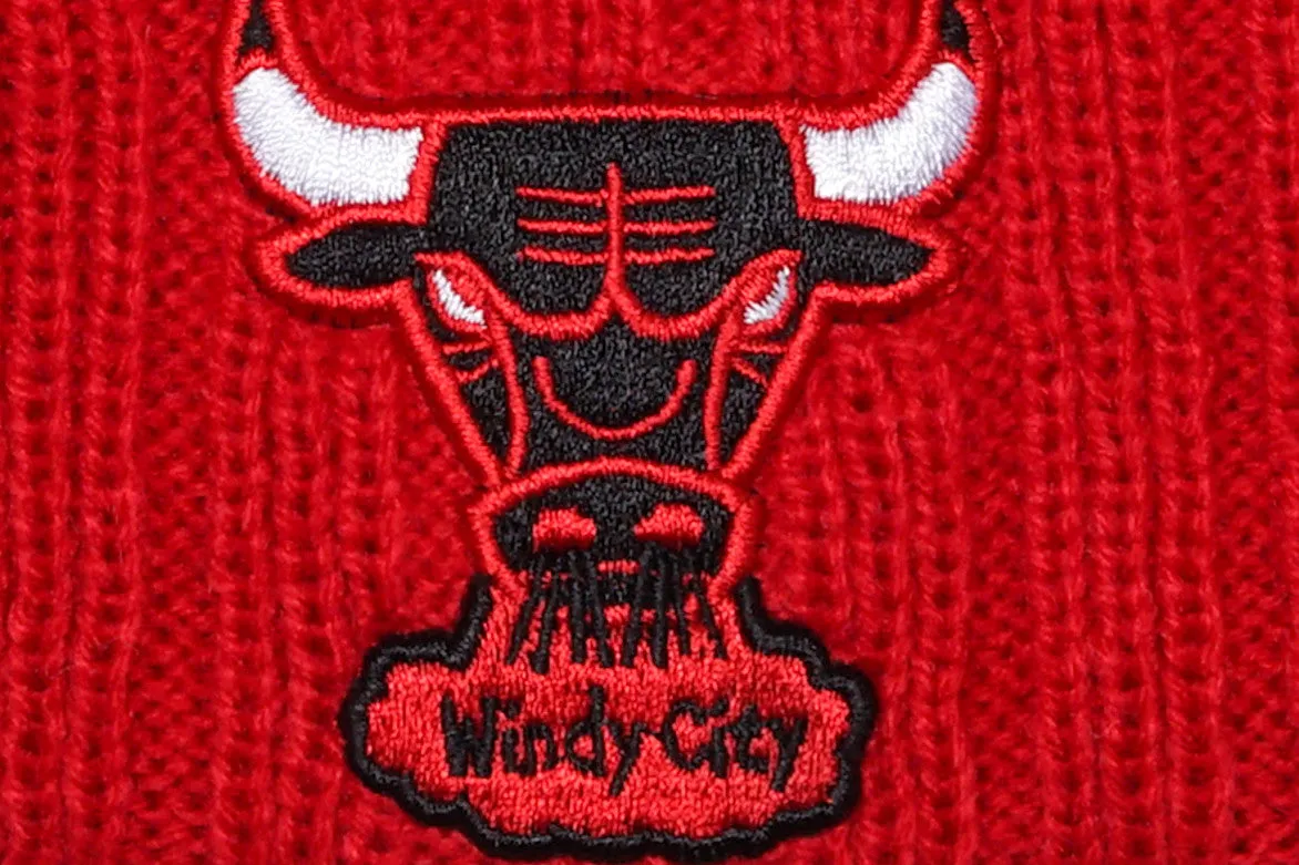 RIB START KNIT HAT - BULLS