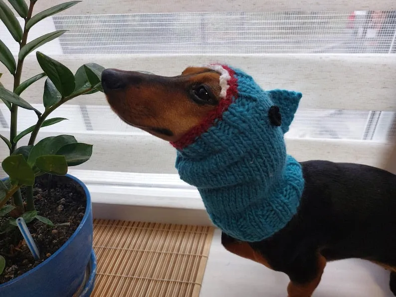 Shark knitted warm wool snood for dog